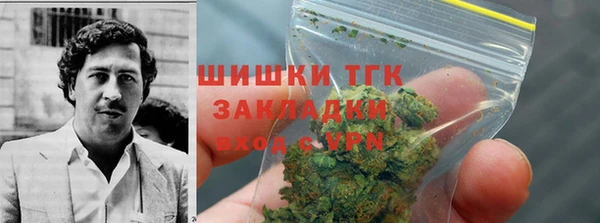 мдпв Каменногорск