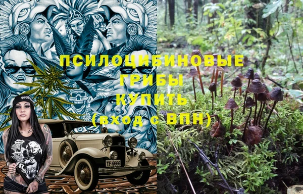 крисы Абдулино