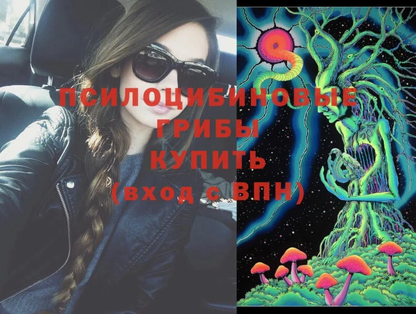 крисы Абдулино