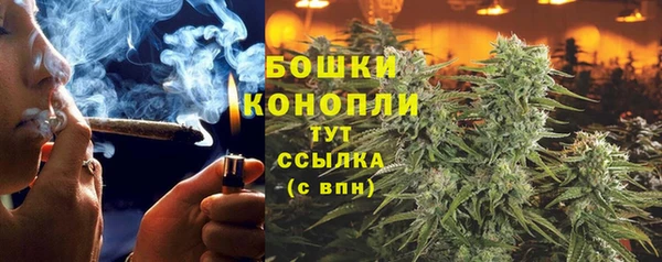 крисы Абдулино