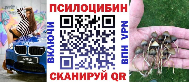 Галлюциногенные грибы ЛСД  где найти   Задонск 